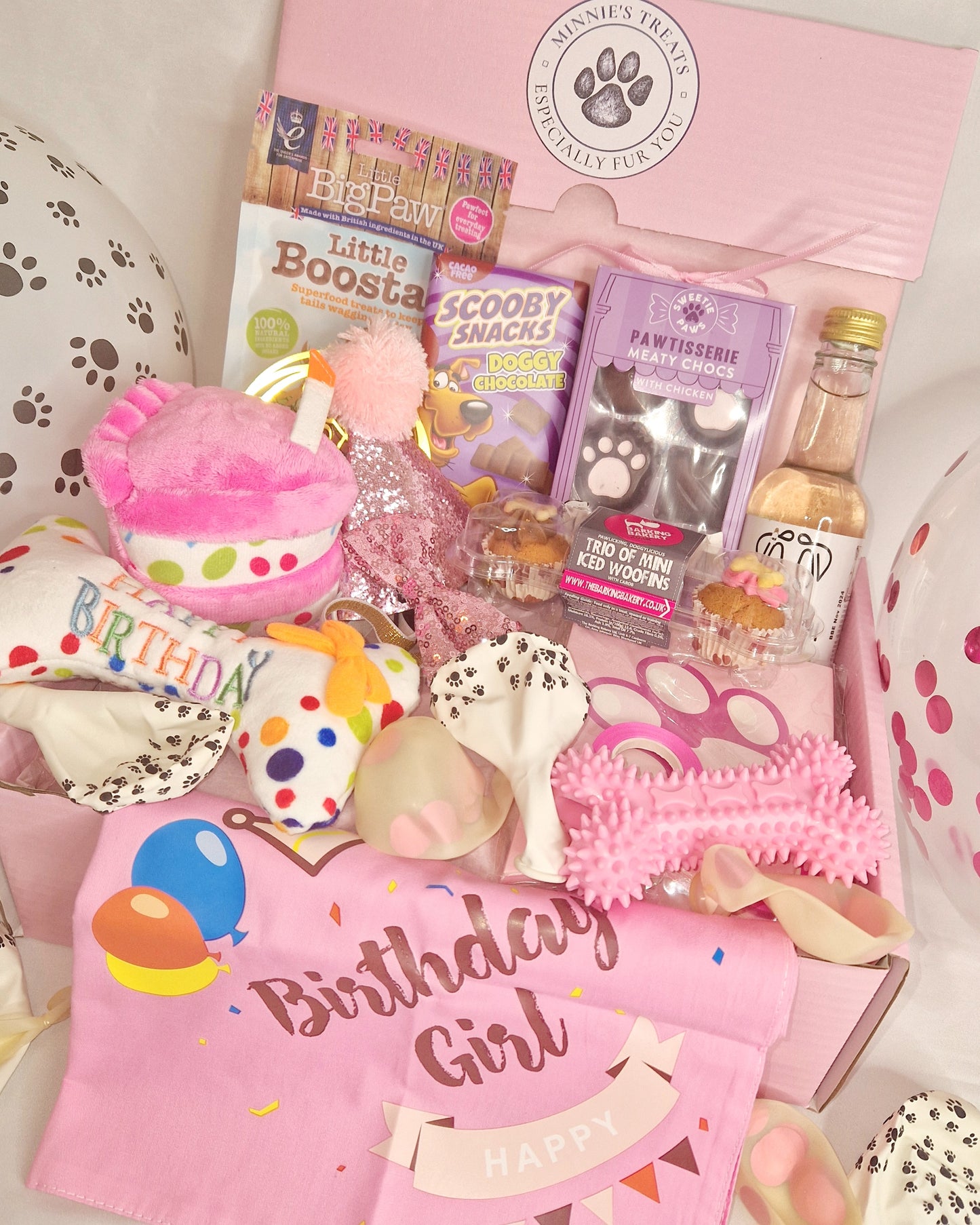 Pooches Birthday Box