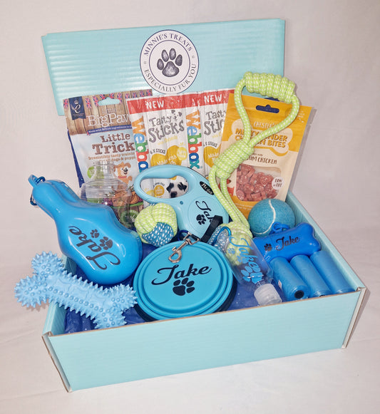 Dogs Adventure Box